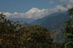 Kanchenjunga View with Spiders