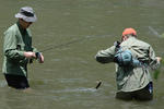 Fishing in the Great Smokies