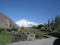 Rakaposhi