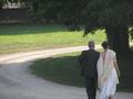 ...following the bride